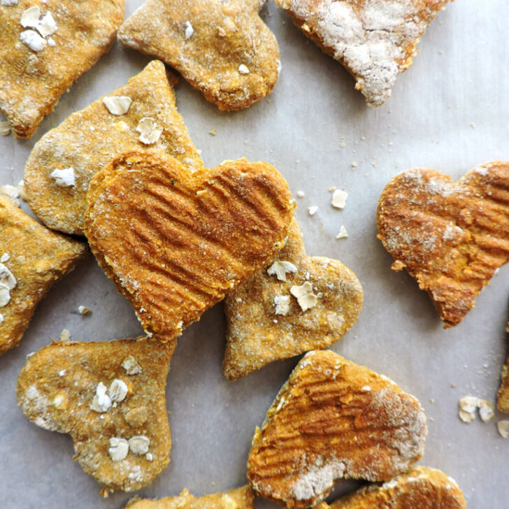 Pumpkin Pup Treats