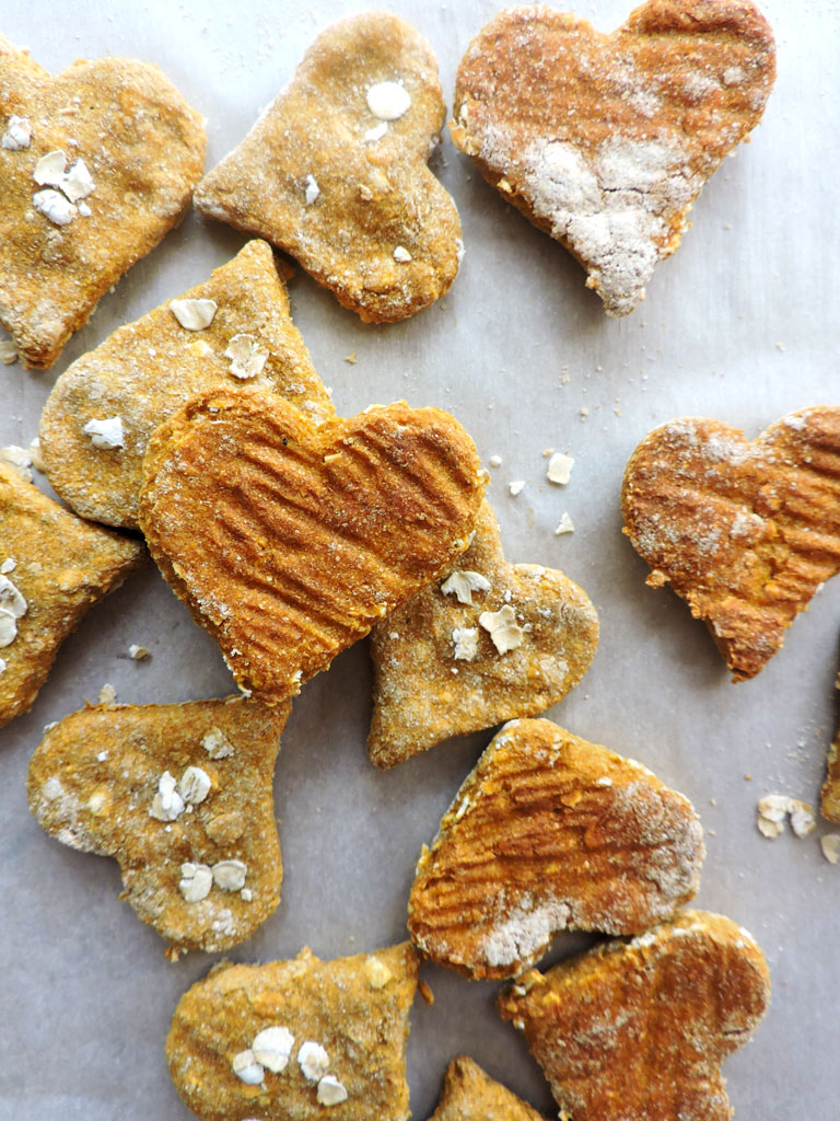 3 ingredient pumpkin dog treats