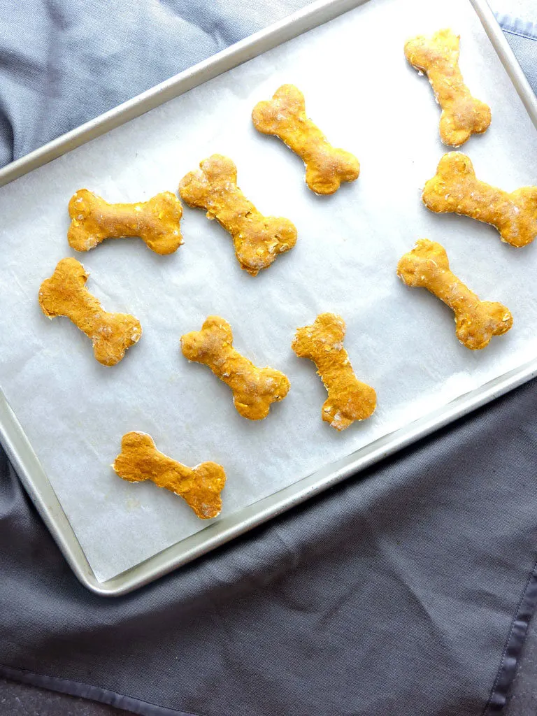 3 Ingredient Pumpkin Pup Treats