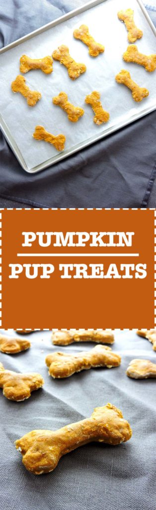 3 Ingredient Pumpkin Pup Treats