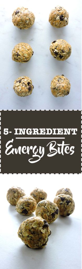 5 Ingredient Energy Bites