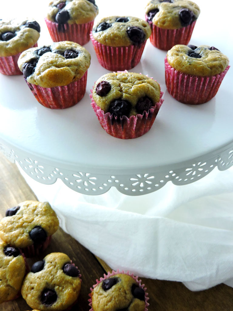 Blueberry Yogurt Mini Muffins