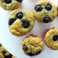 Blueberry Yogurt Mini Muffins