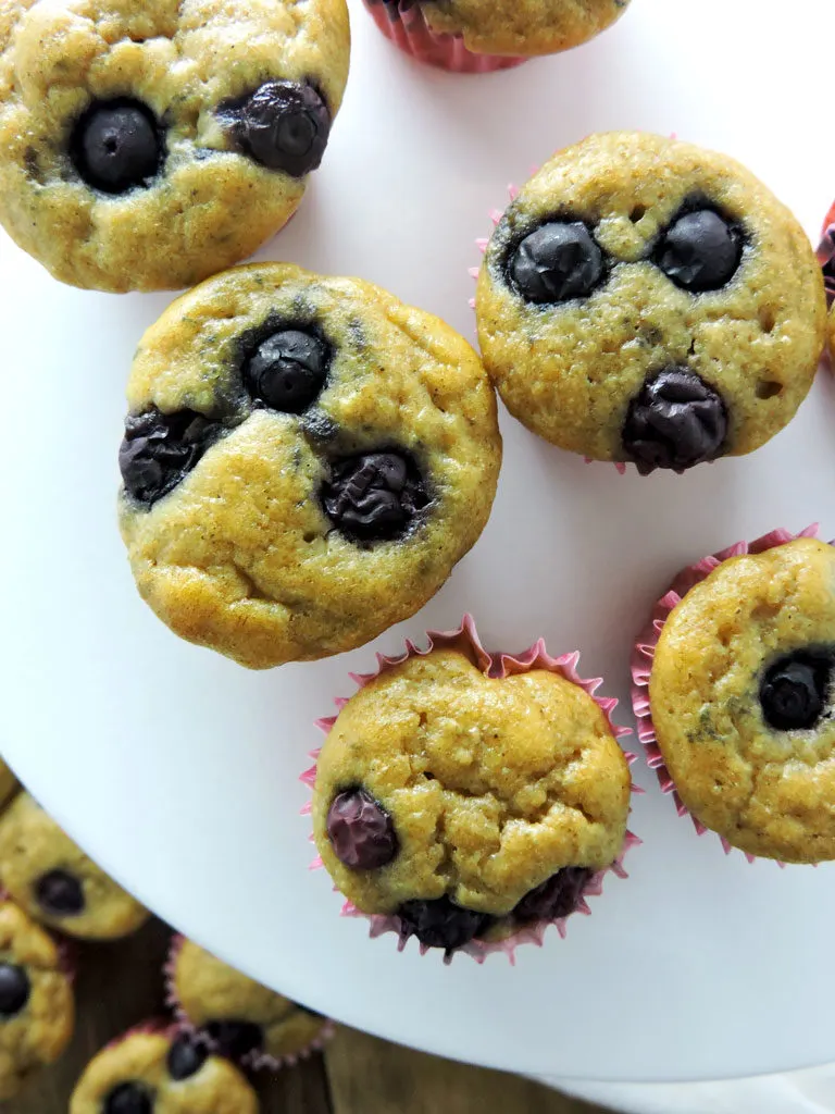 Blueberry Yogurt Mini Muffins