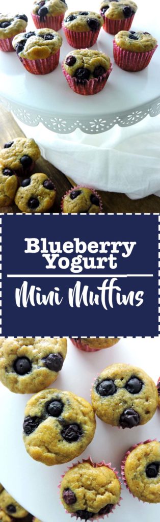 Blueberry Yogurt Mini Muffins