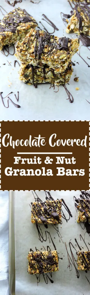 Chocolate Covered Fruit Granola Bars