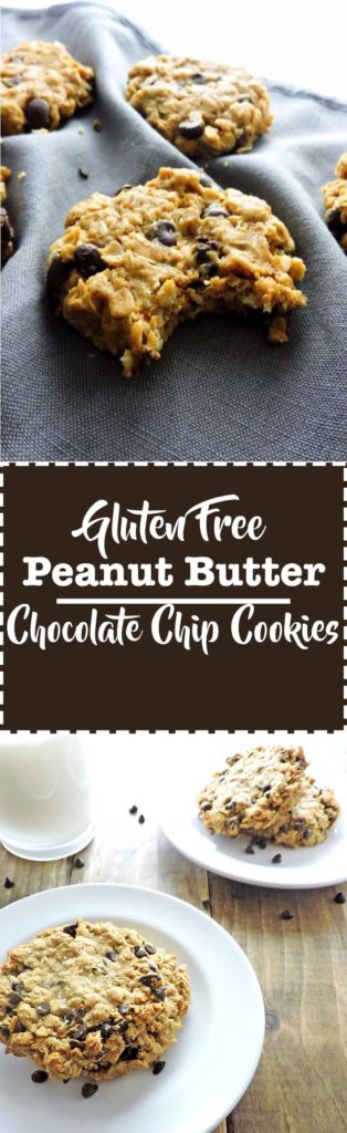 Gluten Free Peanut Butter Chocolate Chip Cookies