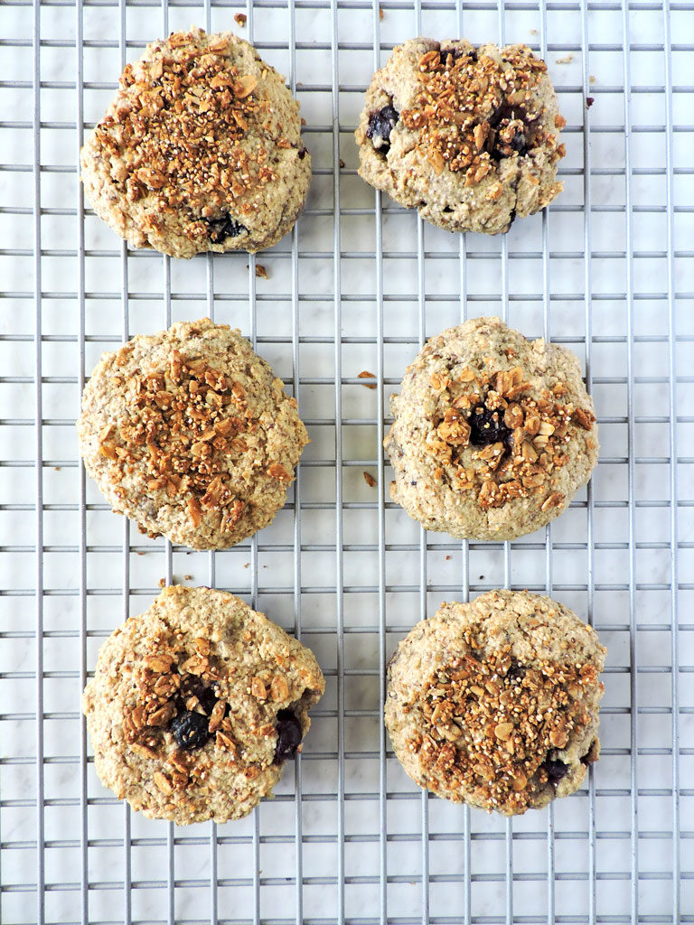 Gluten Free Blueberry Oat Breakfast Cookies