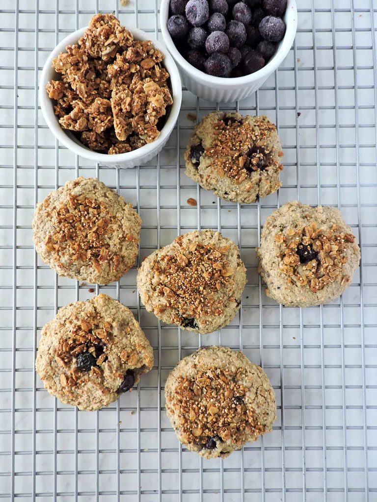 Gluten Free Blueberry Oat Breakfast Cookies