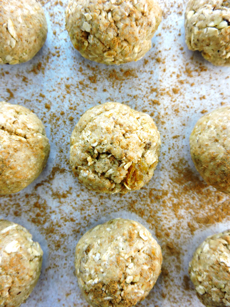 Oatmeal Cookie Energy Bites