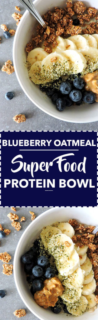 Blueberry Oatmeal Super Food Protein Bowls