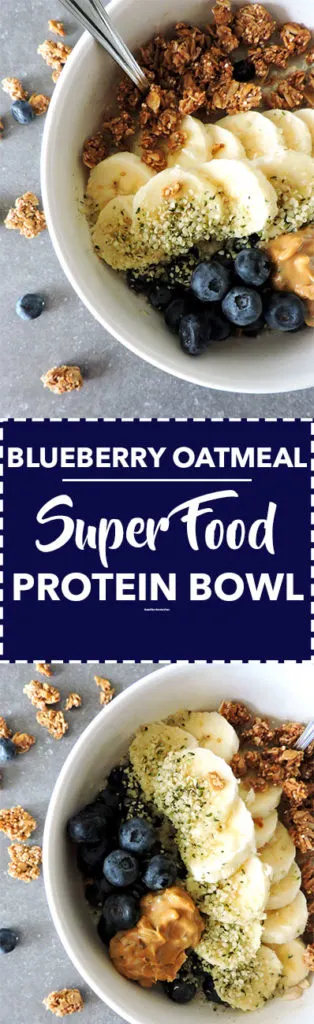 Blueberry Oatmeal Super Food Protein Bowls