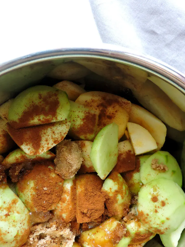 Instant Pot Cinnamon Apple Sauce