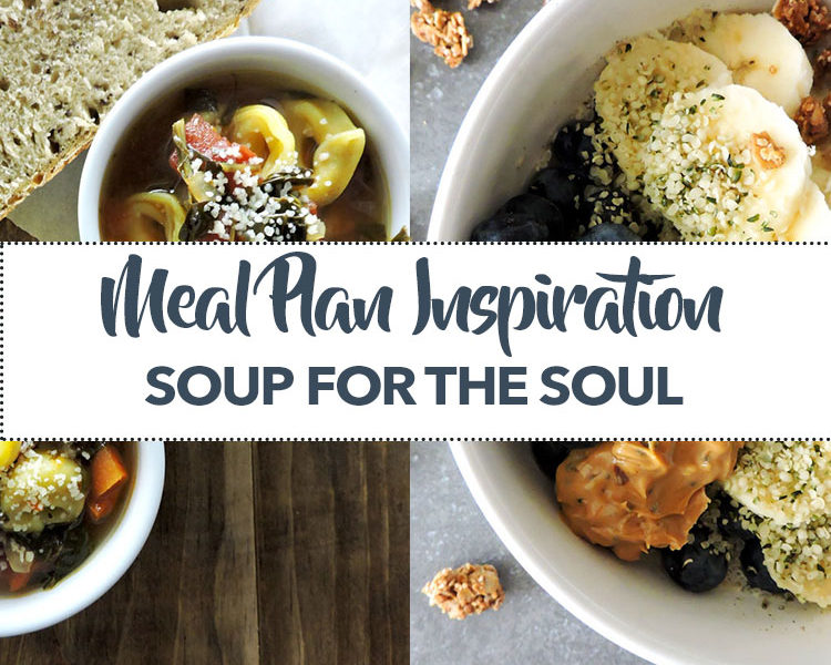 Kitchen Soup For The Soul Dog Food Kitchen Soup For The Soul Dog Food