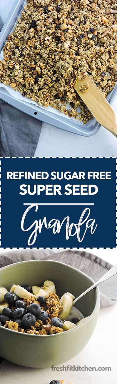 Sugar Free Dog Food Recipes Sugar Free Dog Food Recipes
