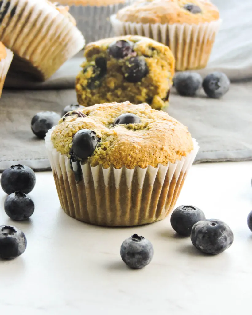 Gluten Free Blueberry Muffins