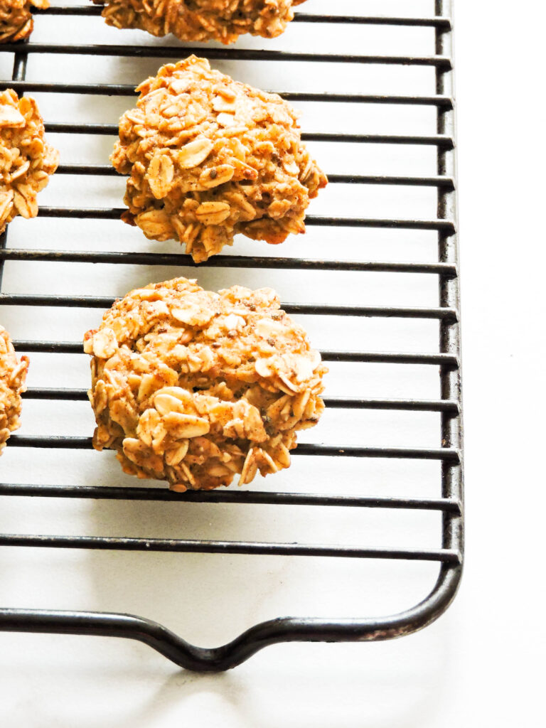 Apple Cinnamon Oatmeal Bites