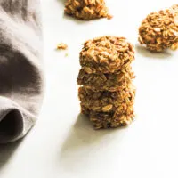 Apple Cinnamon Oatmeal Bites