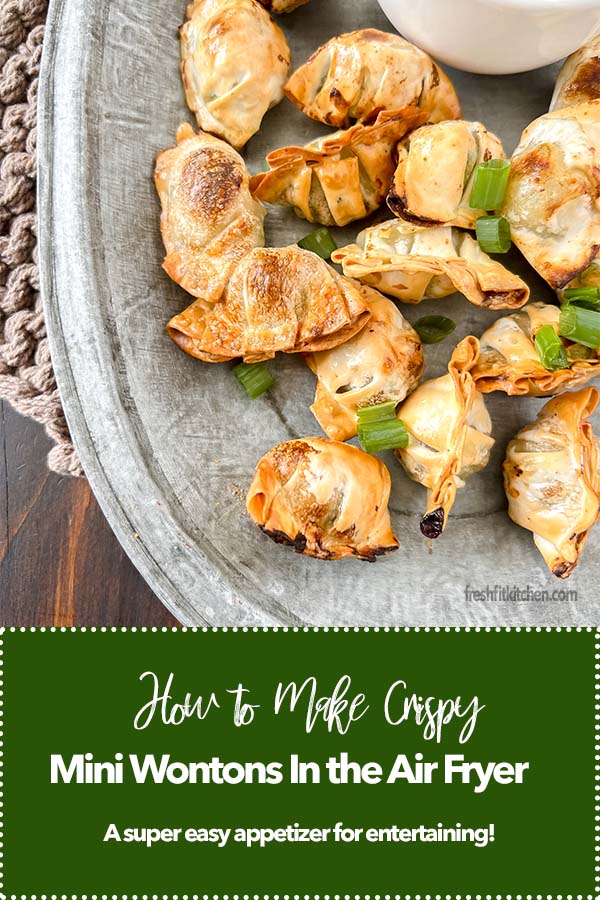 Air Fryer Mini Wonton Pin image