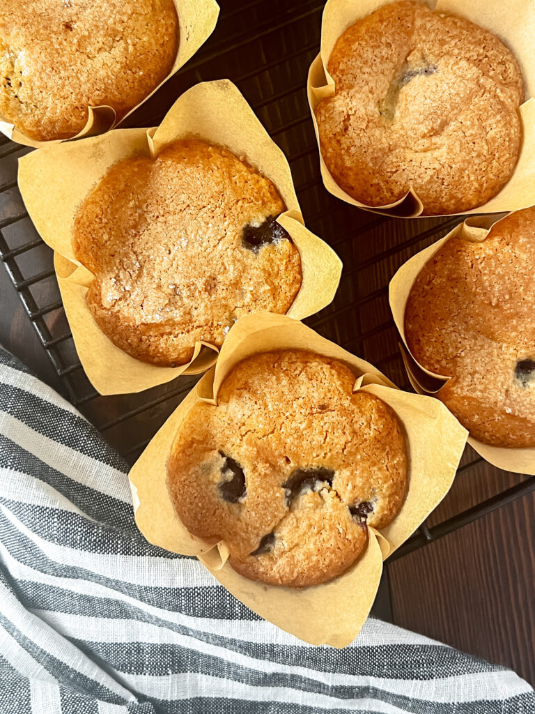 Low Fat High Protein Healthy Blueberry Muffins