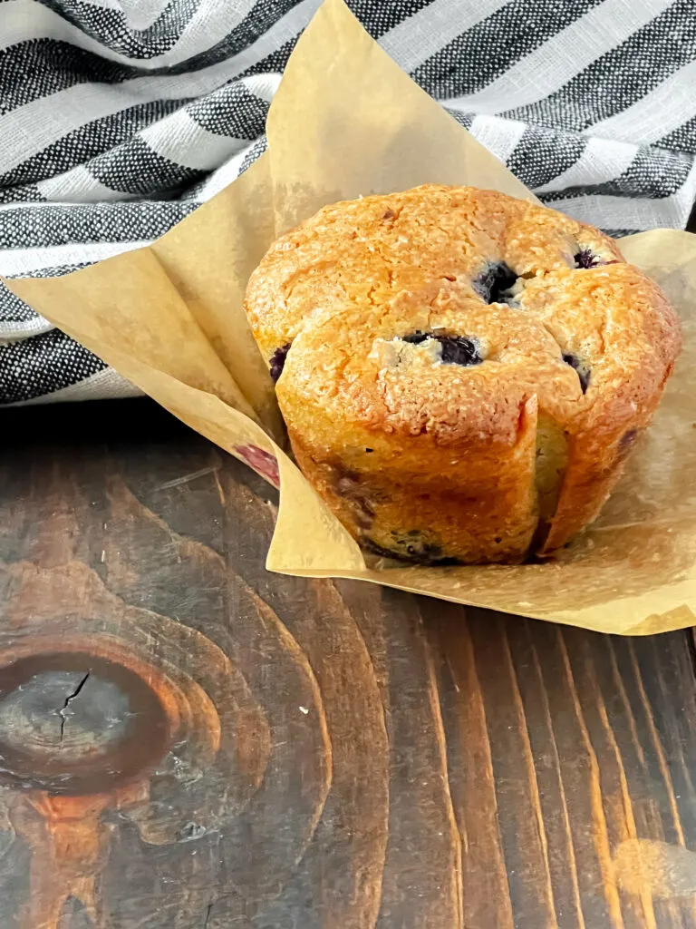 Low Fat High Protein Healthy Blueberry Muffins