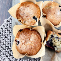 Low Fat High Protein Healthy Blueberry Muffins