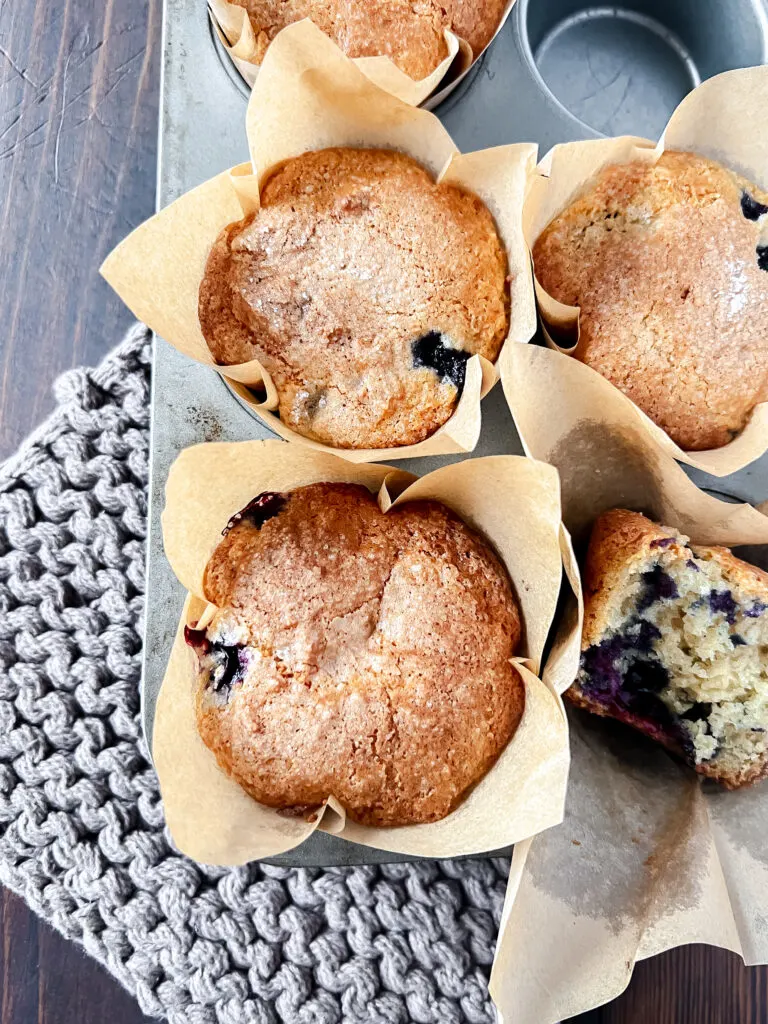 Low Fat High Protein Healthy Blueberry Muffins