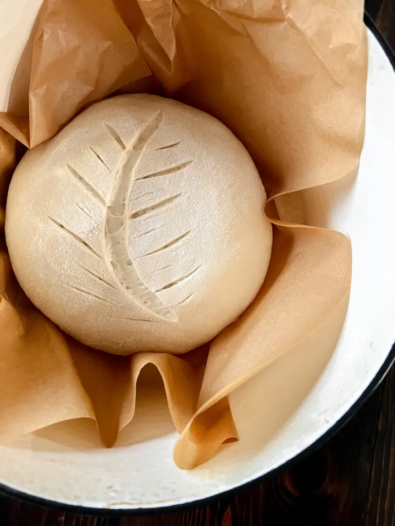 Dutch Oven Sourdough Bread-prebaking