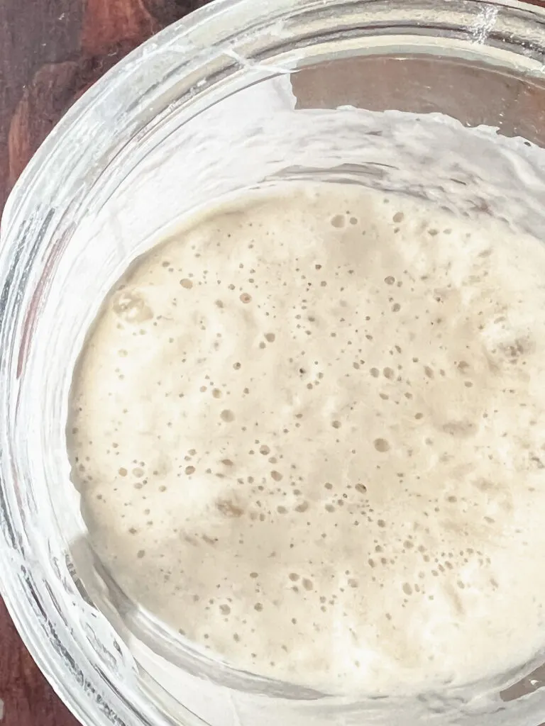 Dutch Oven Sourdough Bread-Active Starter